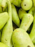 Dhodi/calabash