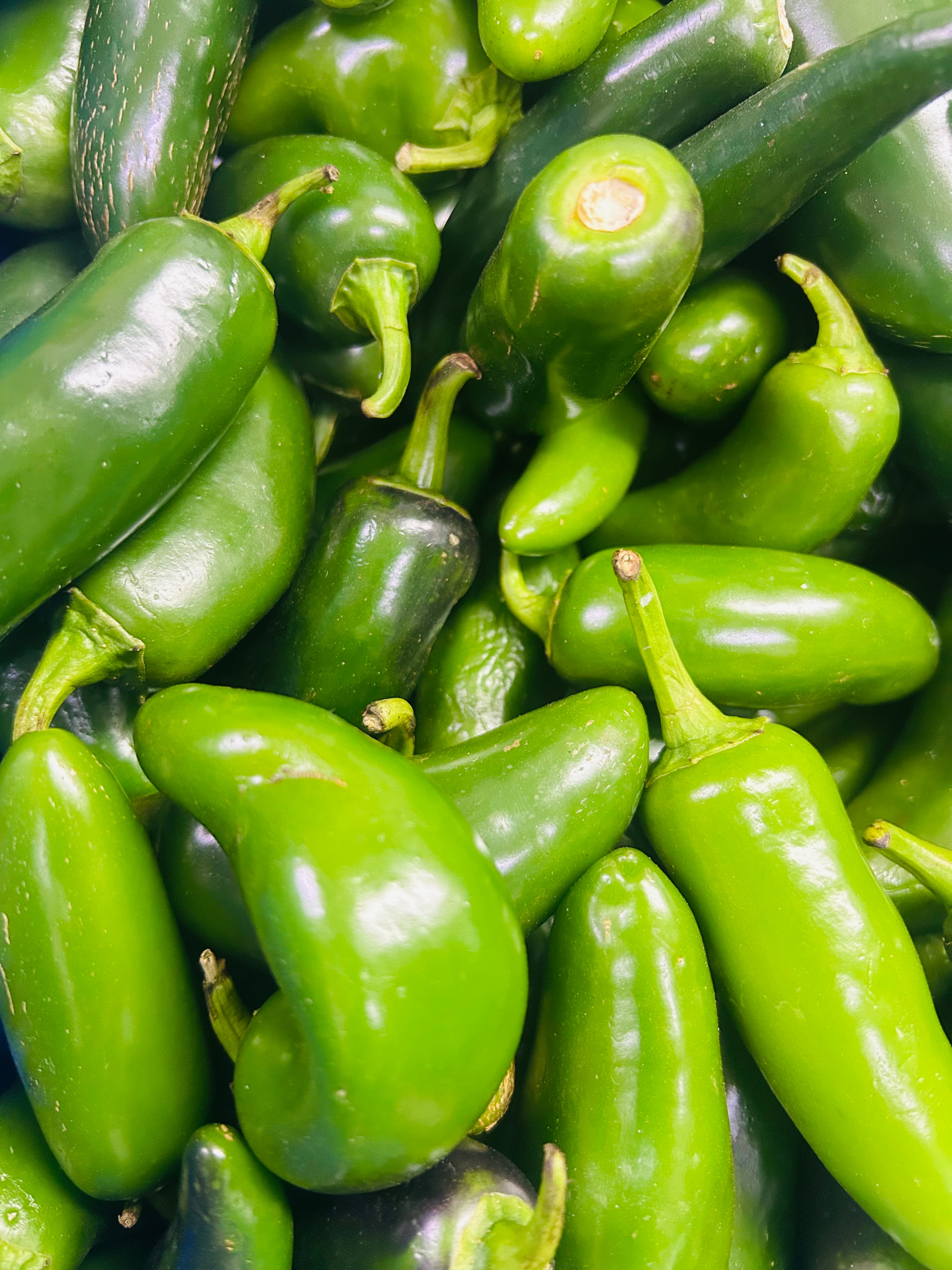 Jalapeno ￼