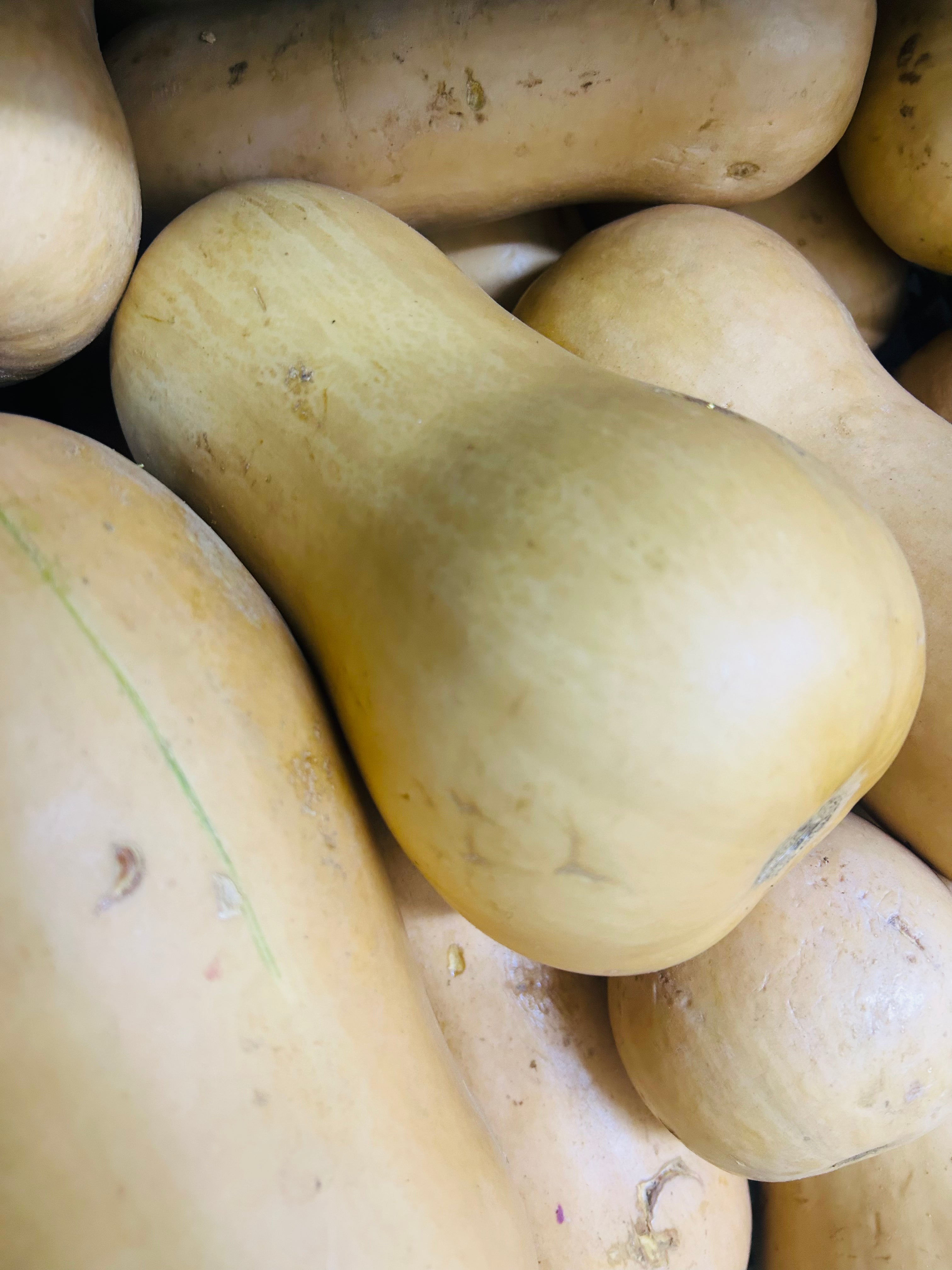 Butternut
