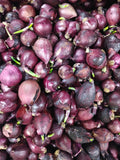 Baby Red onion
