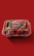 Echo berry stawberry (250g)