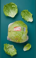 Eldorado lettuce (pkt)