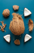 Coconut (each)
