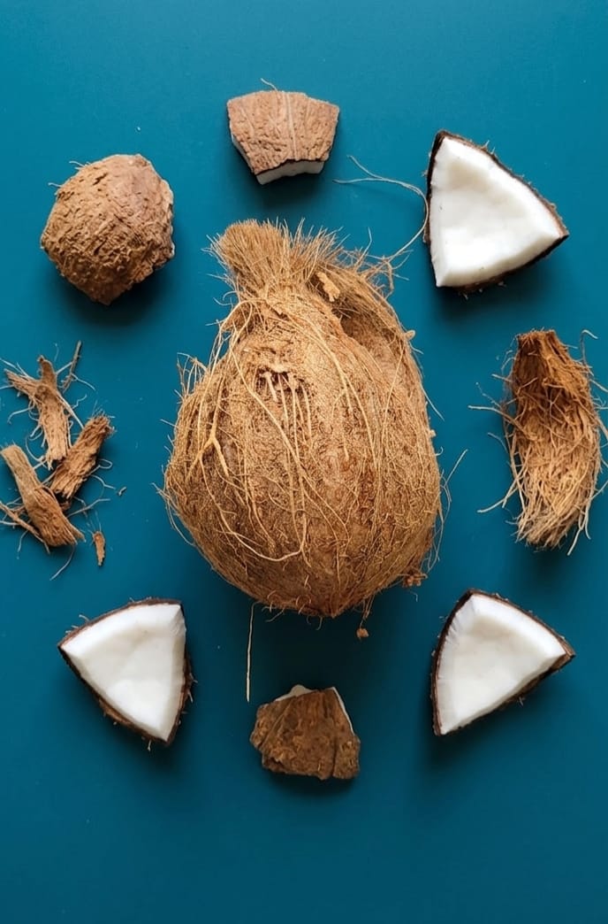 Coconut (each)