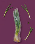 Spring onion pkt