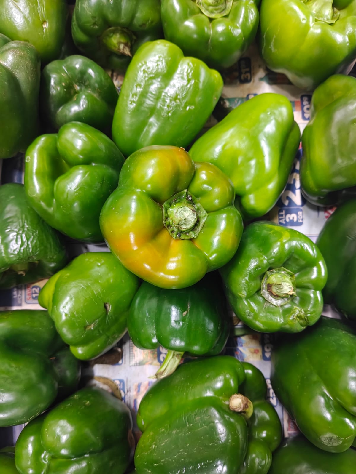 Green pepper